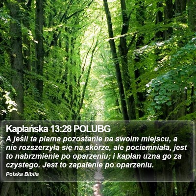 Kapłańska 13:28 POLUBG Bible Verse Image
