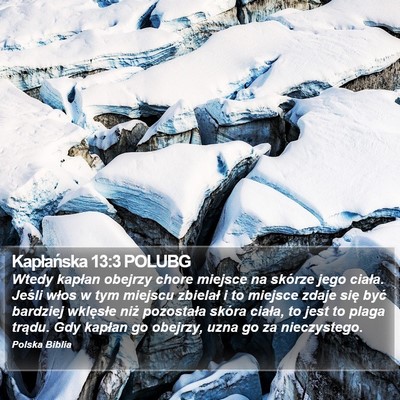 Kapłańska 13:3 POLUBG Bible Verse Image