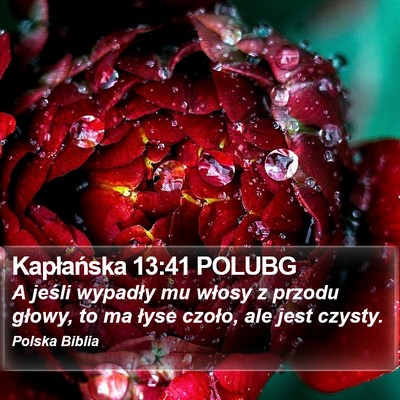 Kapłańska 13:41 POLUBG Bible Verse Image