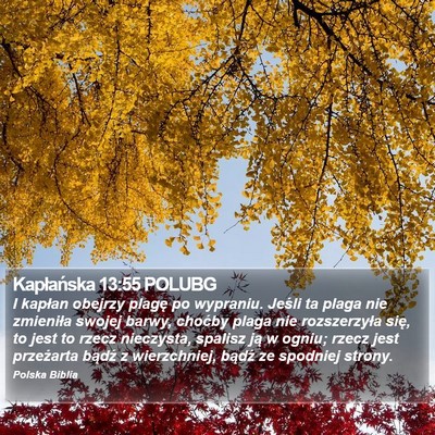 Kapłańska 13:55 POLUBG Bible Verse Image