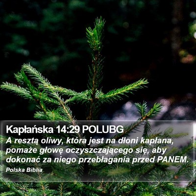Kapłańska 14:29 POLUBG Bible Verse Image