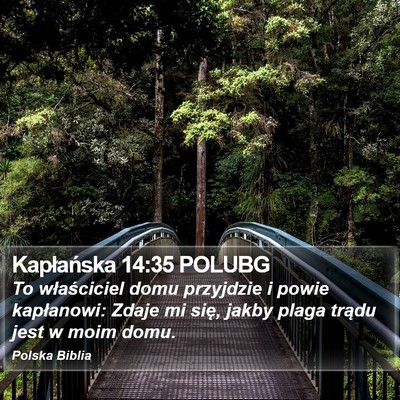 Kapłańska 14:35 POLUBG Bible Verse Image