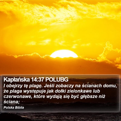 Kapłańska 14:37 POLUBG Bible Verse Image
