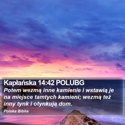 Kapłańska 14:42 POLUBG Bible Verse Image