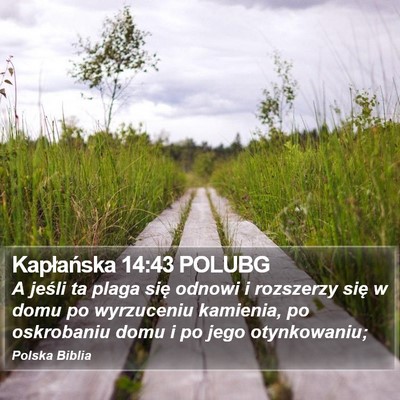 Kapłańska 14:43 POLUBG Bible Verse Image