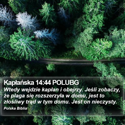 Kapłańska 14:44 POLUBG Bible Verse Image