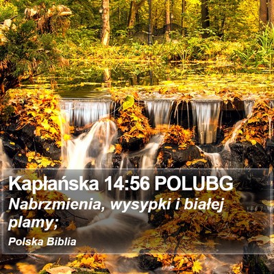 Kapłańska 14:56 POLUBG Bible Verse Image