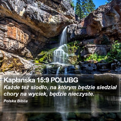 Kapłańska 15:9 POLUBG Bible Verse Image