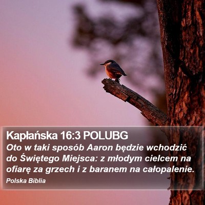Kapłańska 16:3 POLUBG Bible Verse Image