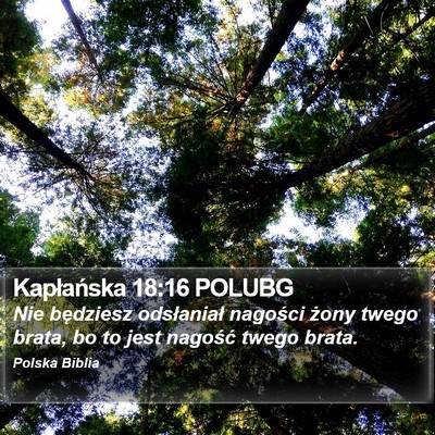 Kapłańska 18:16 POLUBG Bible Verse Image