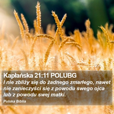 Kapłańska 21:11 POLUBG Bible Verse Image