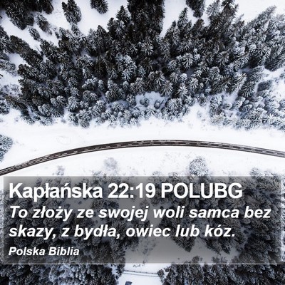 Kapłańska 22:19 POLUBG Bible Verse Image
