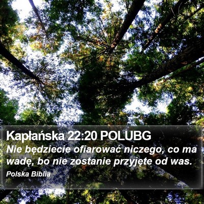 Kapłańska 22:20 POLUBG Bible Verse Image
