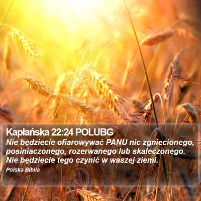 Kapłańska 22:24 POLUBG Bible Verse Image