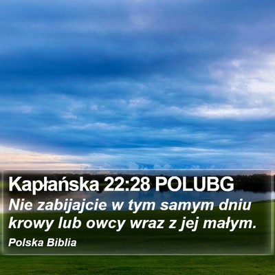 Kapłańska 22:28 POLUBG Bible Verse Image