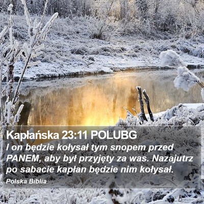 Kapłańska 23:11 POLUBG Bible Verse Image