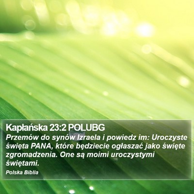 Kapłańska 23:2 POLUBG Bible Verse Image