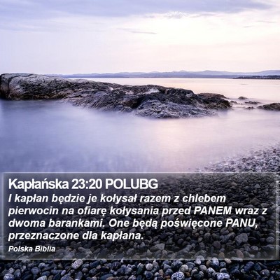 Kapłańska 23:20 POLUBG Bible Verse Image
