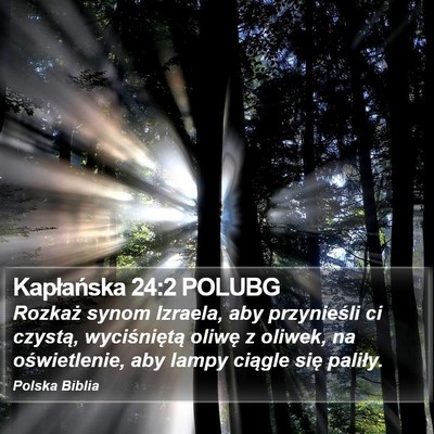Kapłańska 24:2 POLUBG Bible Verse Image