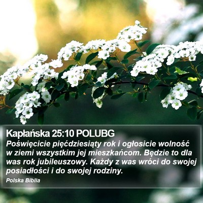 Kapłańska 25:10 POLUBG Bible Verse Image