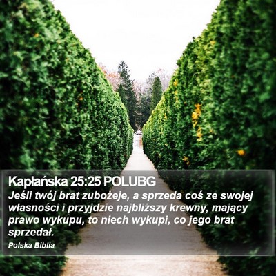 Kapłańska 25:25 POLUBG Bible Verse Image