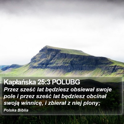 Kapłańska 25:3 POLUBG Bible Verse Image