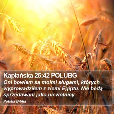 Kapłańska 25:42 POLUBG Bible Verse Image