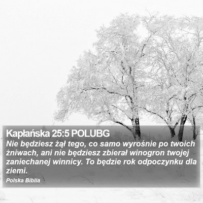 Kapłańska 25:5 POLUBG Bible Verse Image
