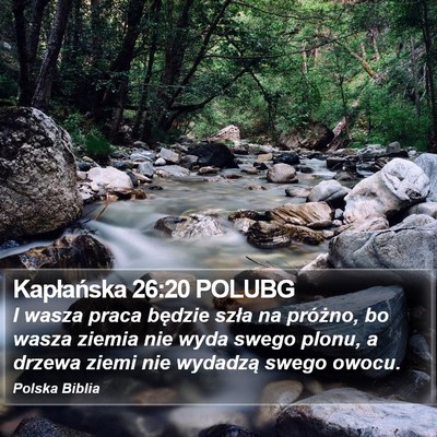 Kapłańska 26:20 POLUBG Bible Verse Image