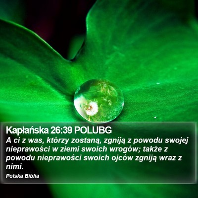 Kapłańska 26:39 POLUBG Bible Verse Image