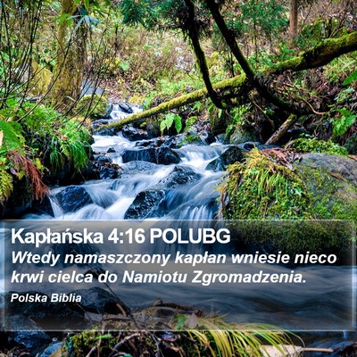 Kapłańska 4:16 POLUBG Bible Verse Image