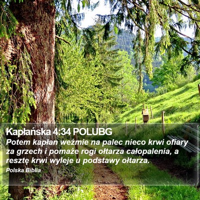 Kapłańska 4:34 POLUBG Bible Verse Image