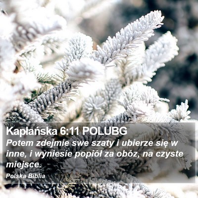 Kapłańska 6:11 POLUBG Bible Verse Image
