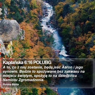 Kapłańska 6:16 POLUBG Bible Verse Image
