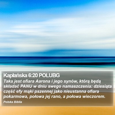 Kapłańska 6:20 POLUBG Bible Verse Image