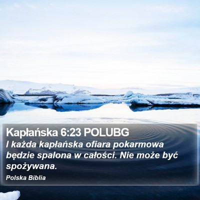 Kapłańska 6:23 POLUBG Bible Verse Image