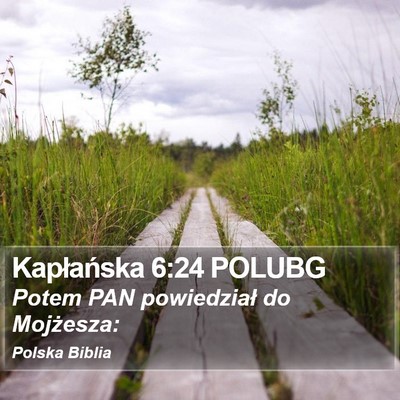 Kapłańska 6:24 POLUBG Bible Verse Image