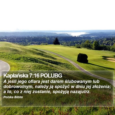 Kapłańska 7:16 POLUBG Bible Verse Image