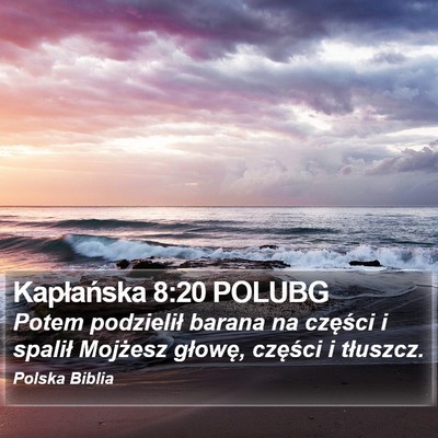 Kapłańska 8:20 POLUBG Bible Verse Image