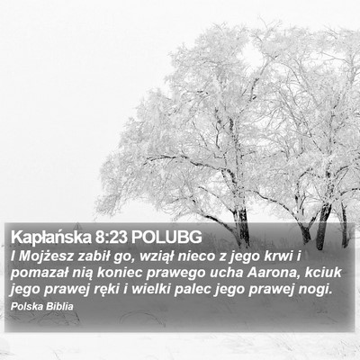 Kapłańska 8:23 POLUBG Bible Verse Image