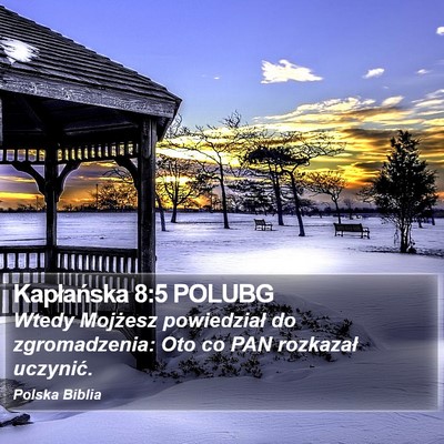 Kapłańska 8:5 POLUBG Bible Verse Image