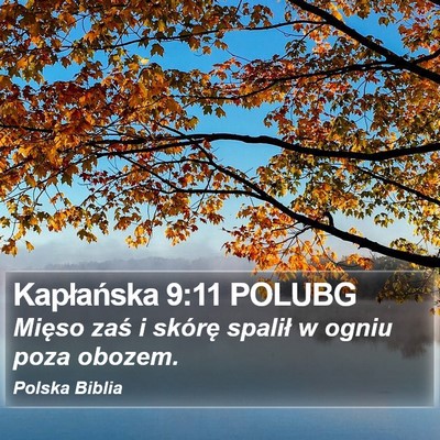 Kapłańska 9:11 POLUBG Bible Verse Image