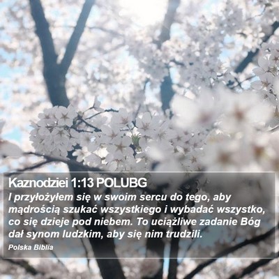 Kaznodziei 1:13 POLUBG Bible Verse Image