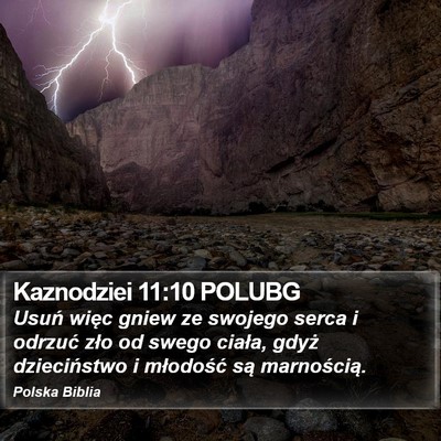 Kaznodziei 11:10 POLUBG Bible Verse Image
