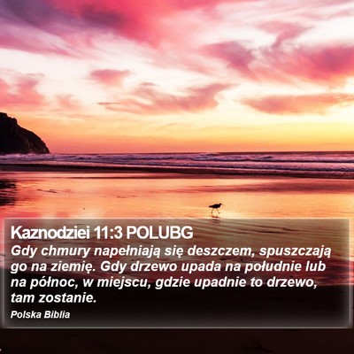 Kaznodziei 11:3 POLUBG Bible Verse Image