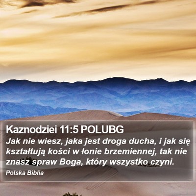 Kaznodziei 11:5 POLUBG Bible Verse Image