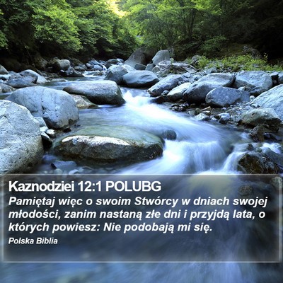 Kaznodziei 12:1 POLUBG Bible Verse Image