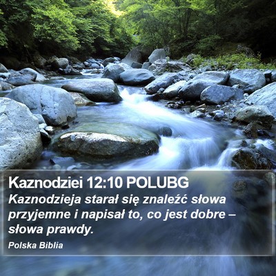 Kaznodziei 12:10 POLUBG Bible Verse Image