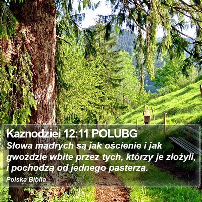 Kaznodziei 12:11 POLUBG Bible Verse Image
