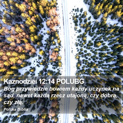 Kaznodziei 12:14 POLUBG Bible Verse Image